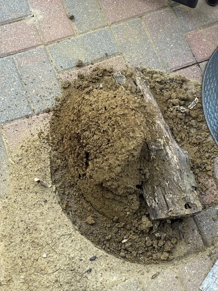 Custom garden landscaping for outdoor upgrades across Addison, TX - Titan Pest Defense