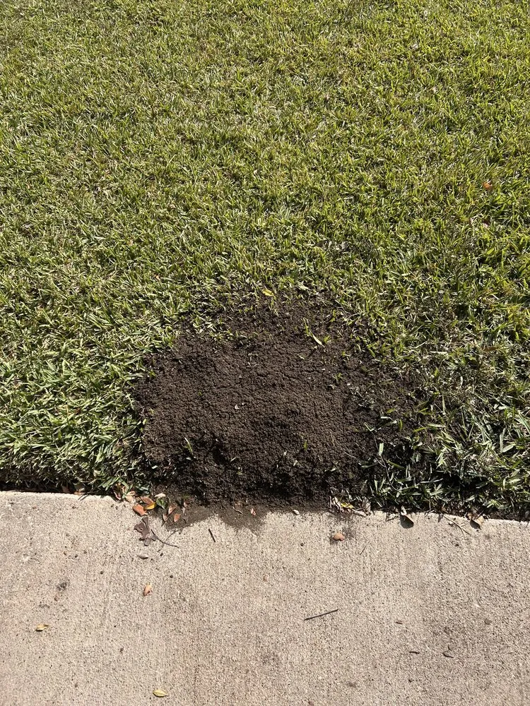 Local outdoor landscaping in Addison, TX - Titan Pest Defense