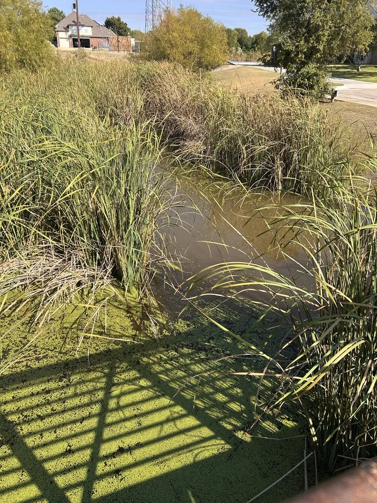 Affordable landscape installation in Addison, TX - Titan Pest Defense