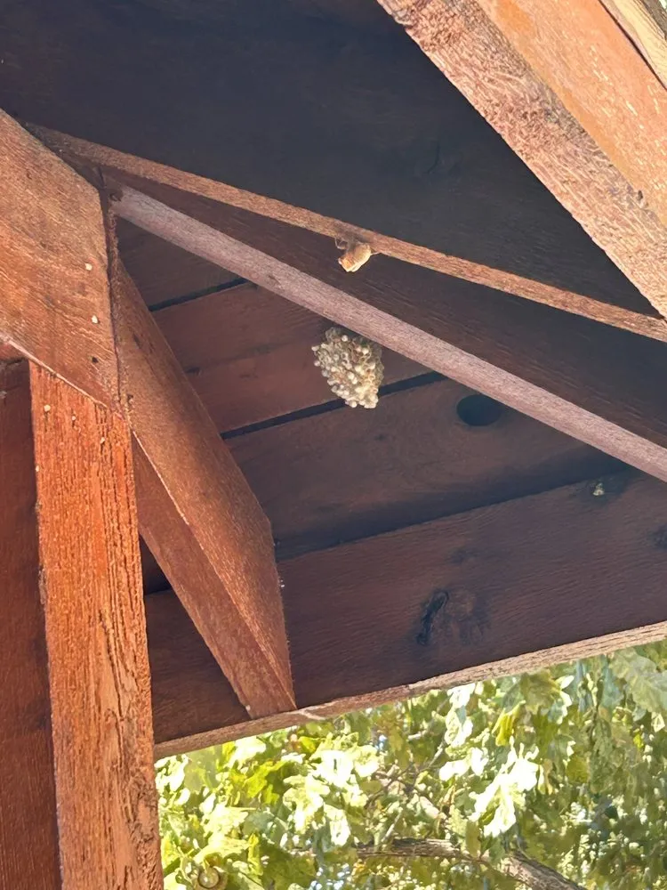 Trusted landscape installation for beautiful yards in Addison, TX by Titan Pest Defense