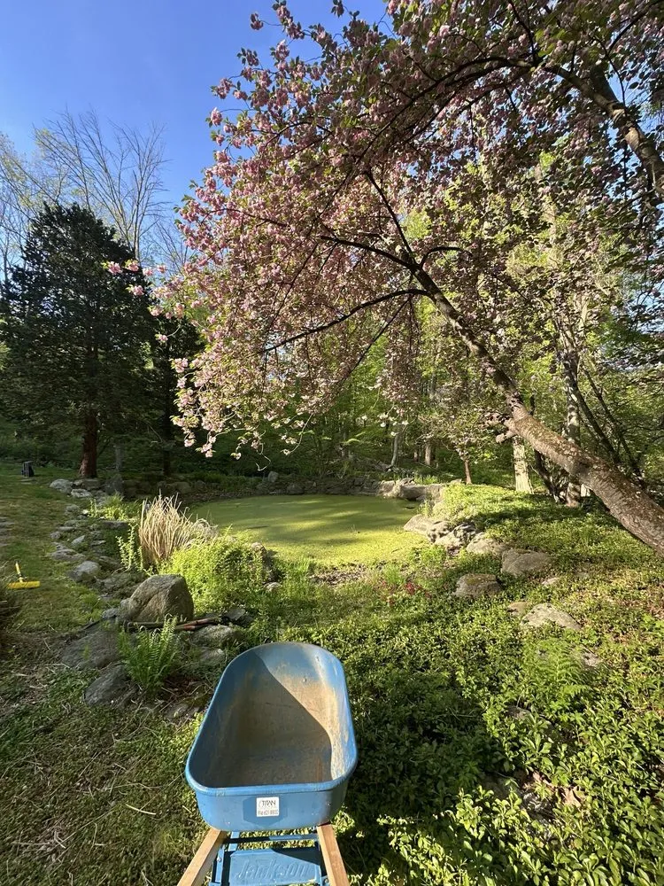 Affordable landscape design in Somers, NY by Titan Ponds