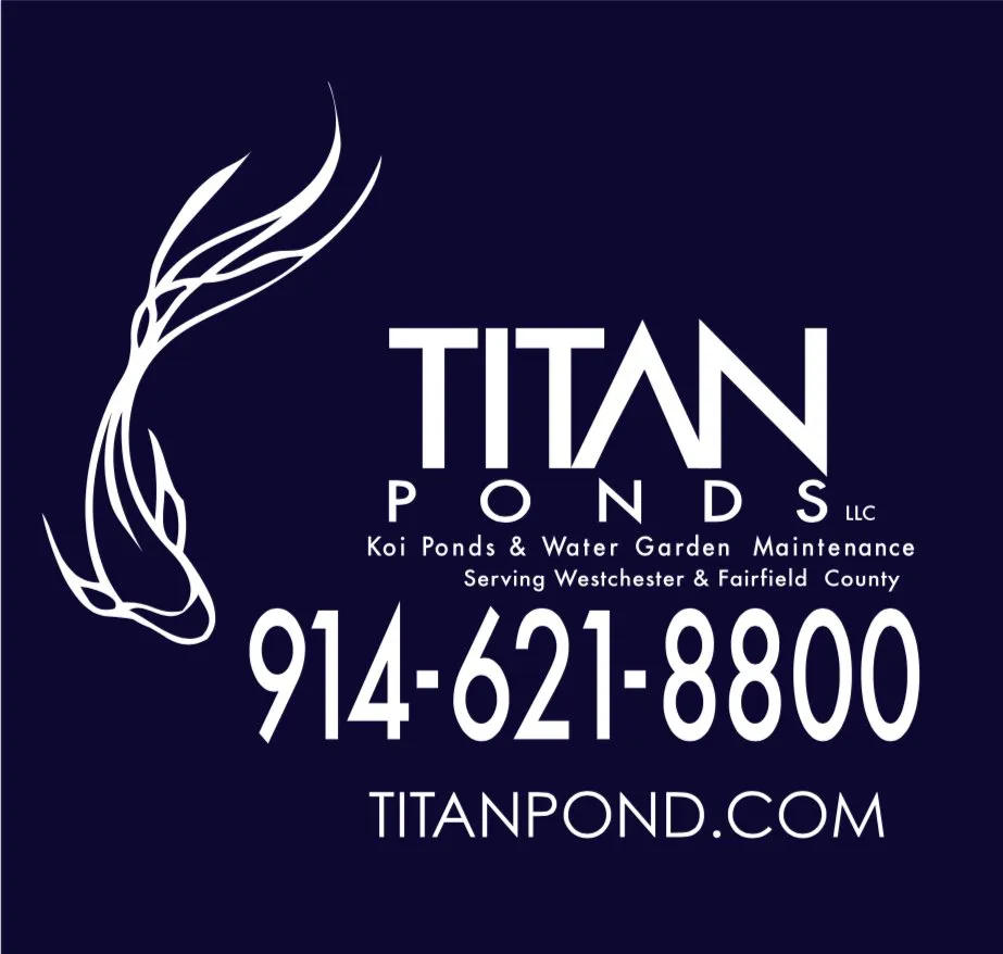 Expert yard maintenance in Somers, NY - Titan Ponds