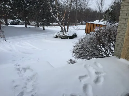 Titan Seasonal Services Logo