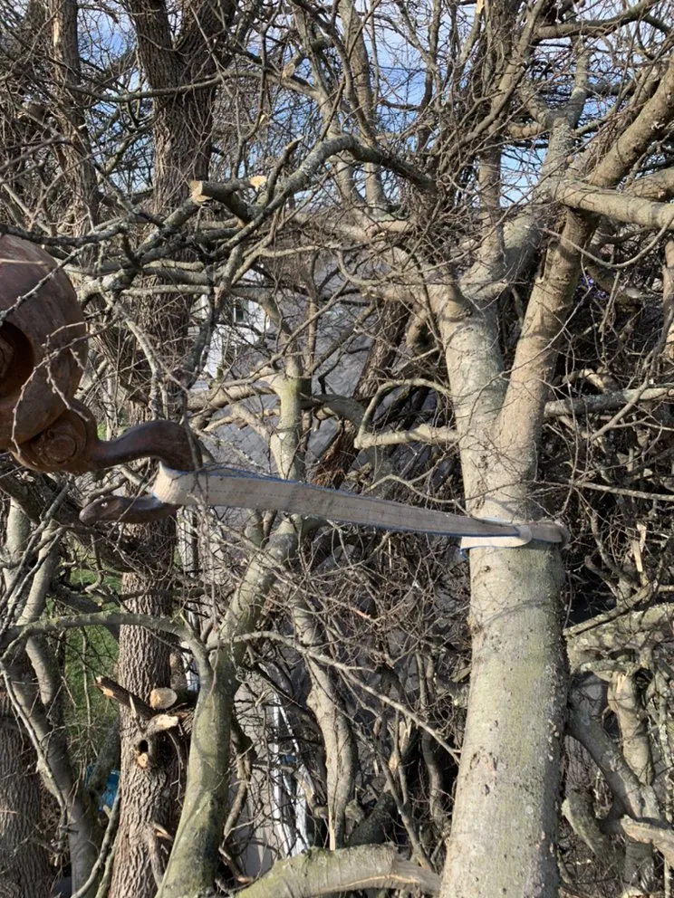 Affordable garden landscaping for beautiful yards in Franklin, TN by Titan Tree & Firewood