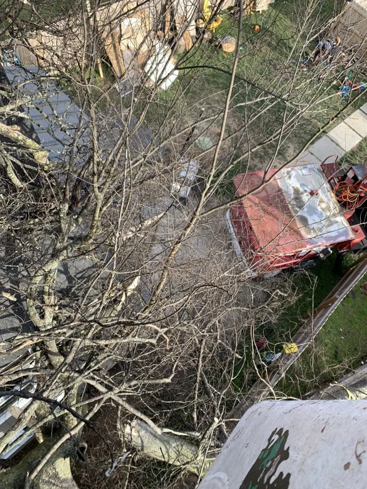 Custom outdoor landscaping experts serving Franklin, TN - Titan Tree & Firewood