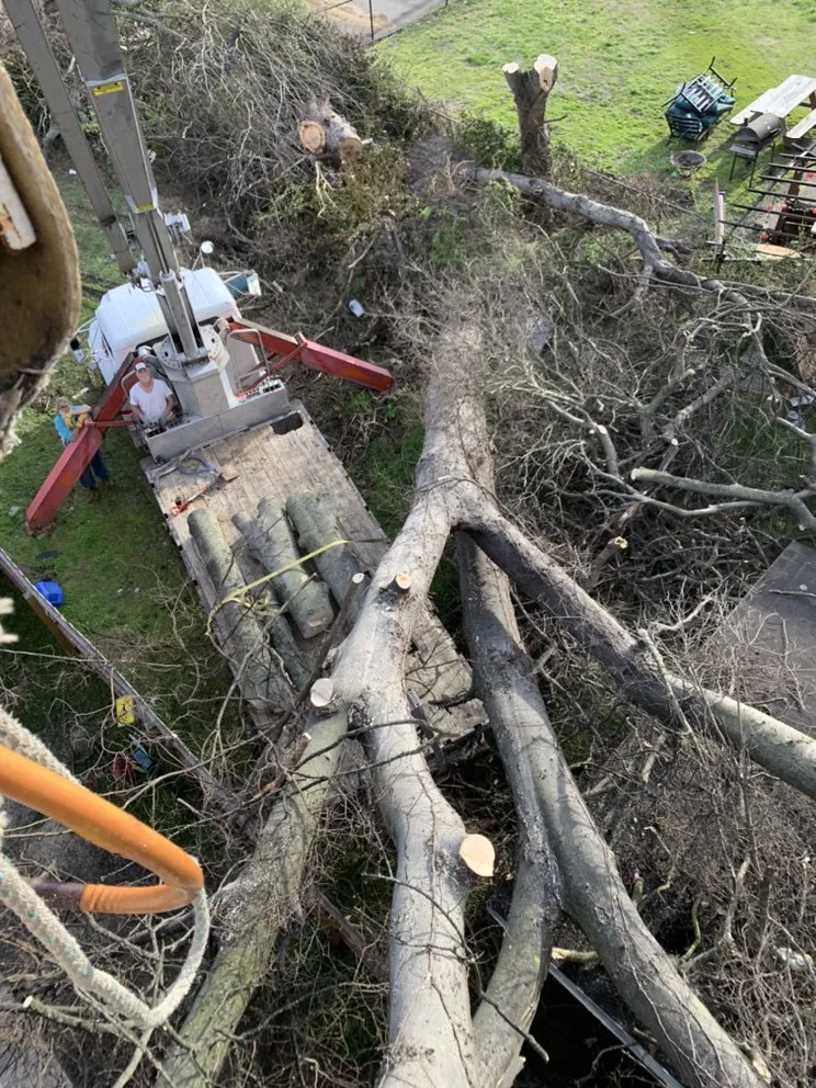 Reliable landscaping services for residential properties across Franklin, TN - Titan Tree & Firewood