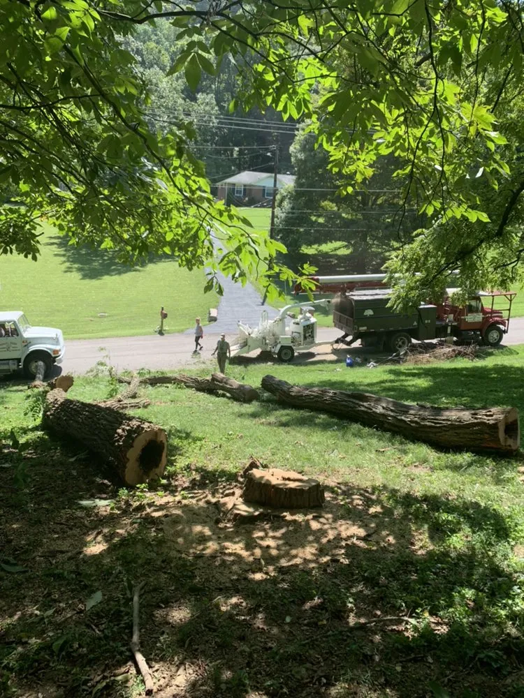 Professional yard cleanup service experts serving Franklin, TN - Titan Tree & Firewood