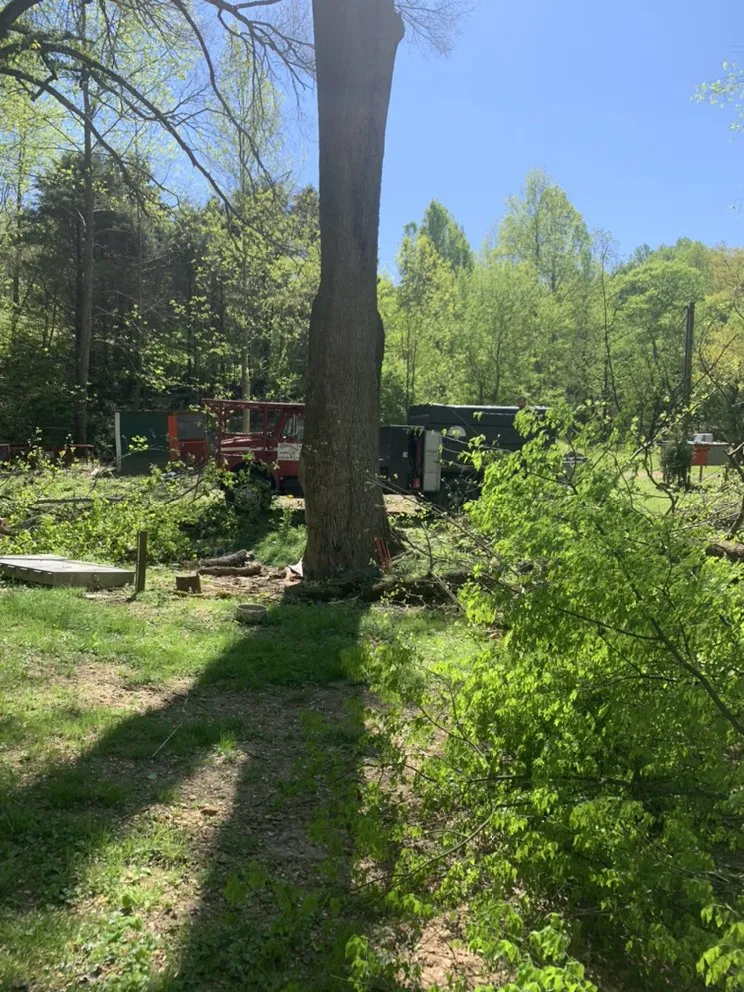 Local outdoor landscaping near you in Franklin, TN by Titan Tree & Firewood