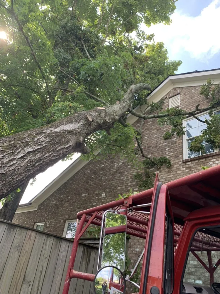 Affordable lawn mowing service near you in Franklin, TN by Titan Tree & Firewood