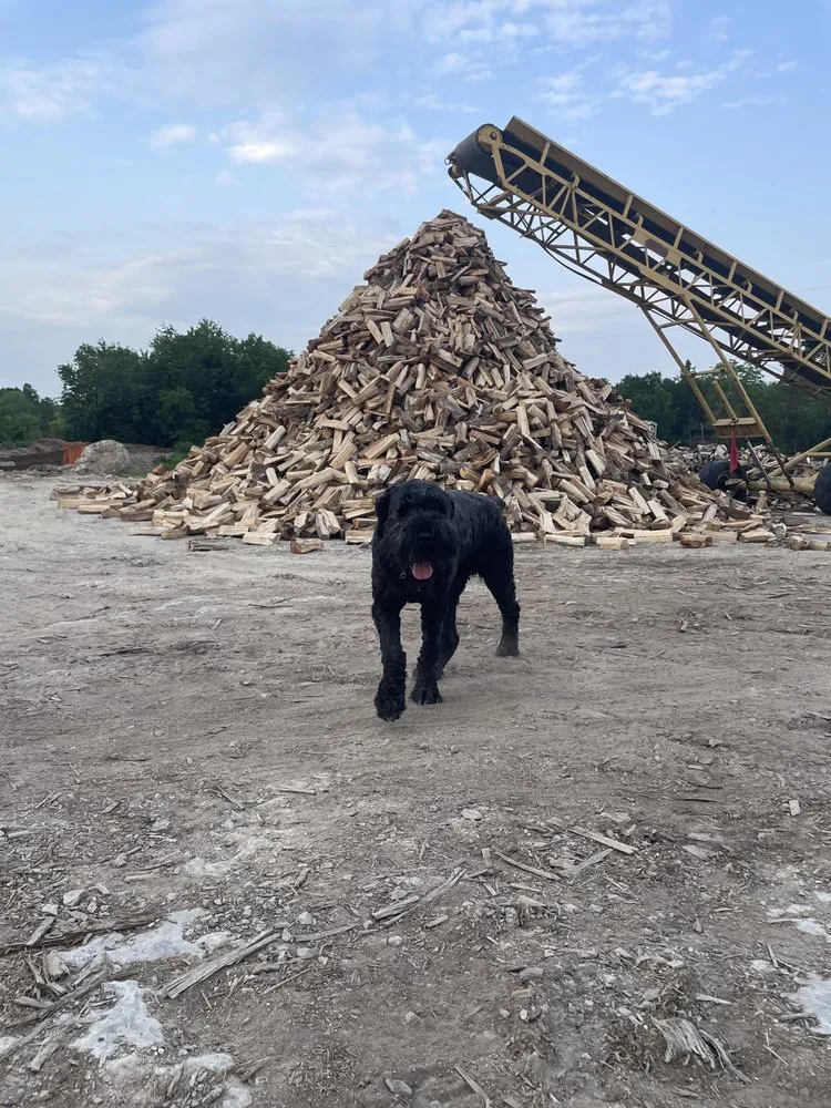 Reliable landscape installation in Franklin, TN by Titan Tree & Firewood