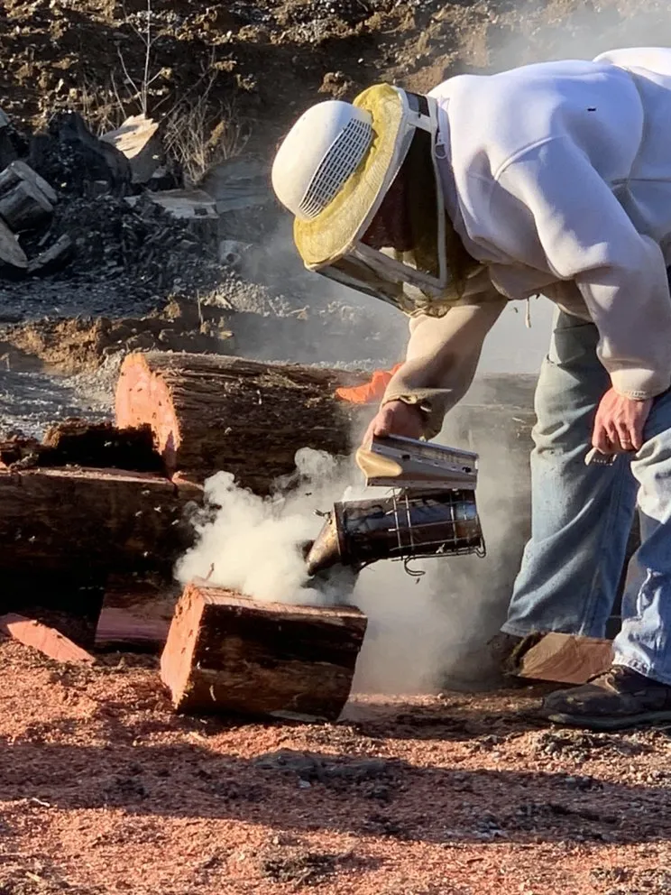 Reliable landscaping services for year-round maintenance across Franklin, TN - Titan Tree & Firewood