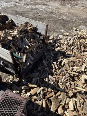 Titan Tree & Firewood Logo