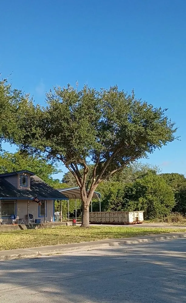 Affordable outdoor landscaping experts serving Alice, TX - Titan Tree Trimming