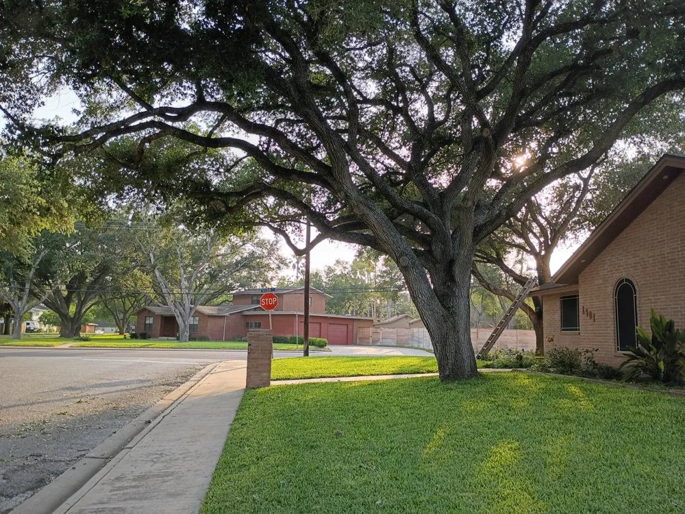 Professional lawn mowing service in Alice, TX - Titan Tree Trimming