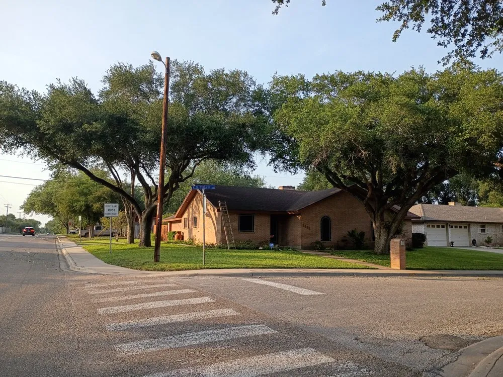 Custom yard cleanup service for beautiful yards in Alice, TX by Titan Tree Trimming