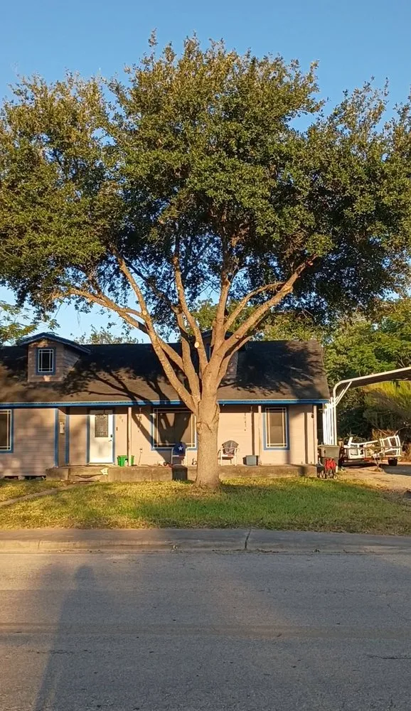 Professional landscape installation for homes across Alice, TX - Titan Tree Trimming