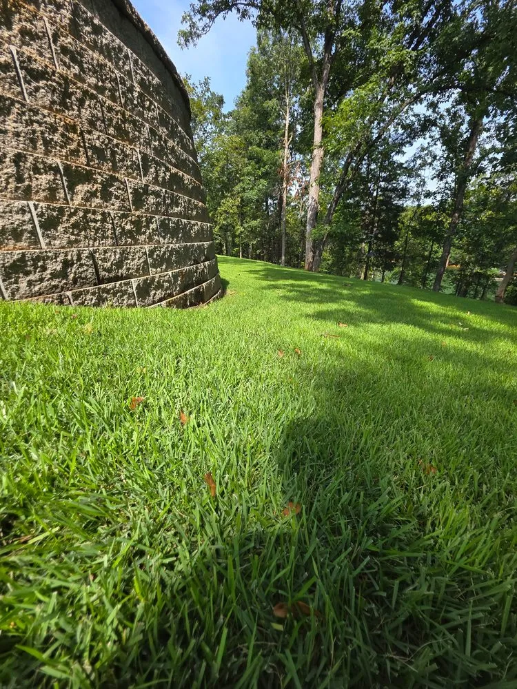 Affordable lawn care service in Anderson, SC - Titan Turf