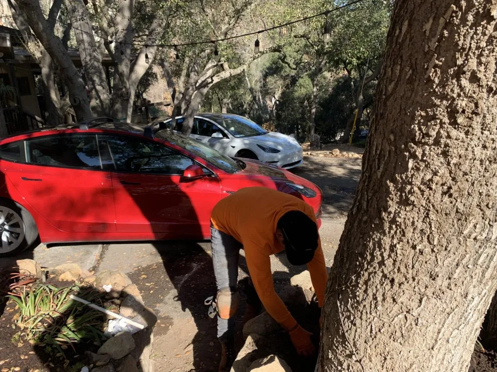 Top-rated lawn mowing service for year-round maintenance across Rolling Hills Estates, CA - Titanium Landscape