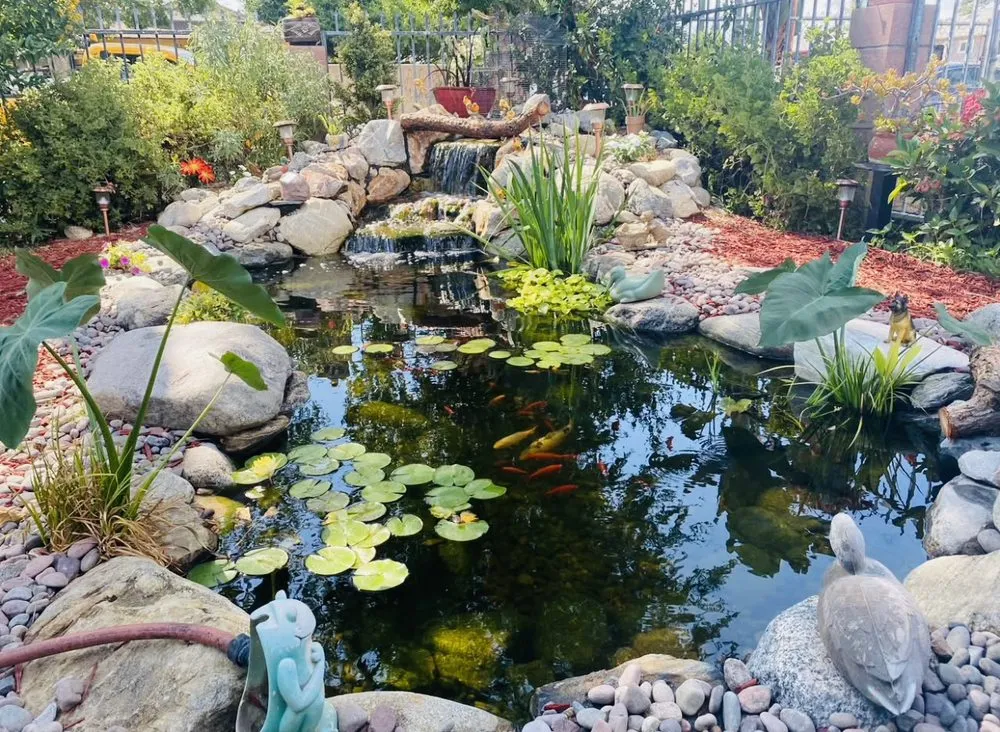 Local yard maintenance in Rolling Hills Estates, CA by Titanium Landscape