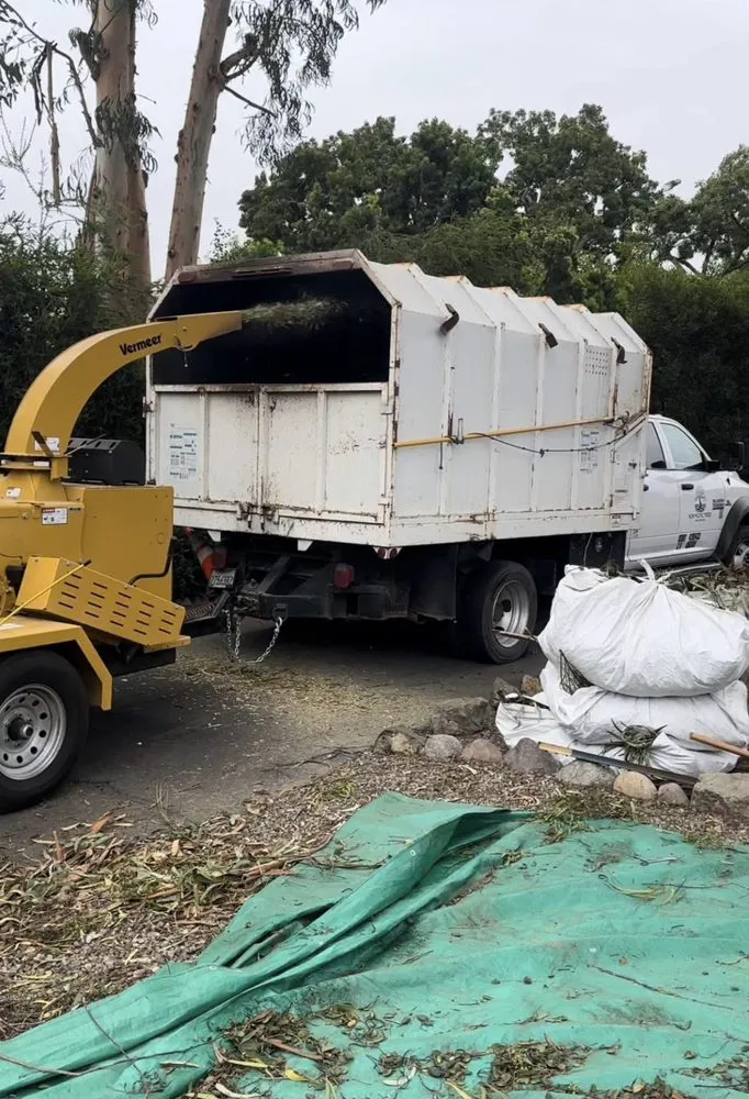 Affordable outdoor landscaping experts serving Rolling Hills Estates, CA - Titanium Landscape