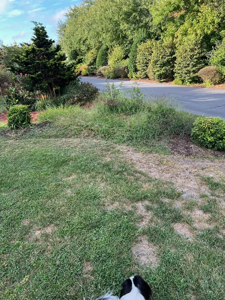 Trusted residential landscaping for beautiful yards across Dagsboro, DE - Titanium Property Services