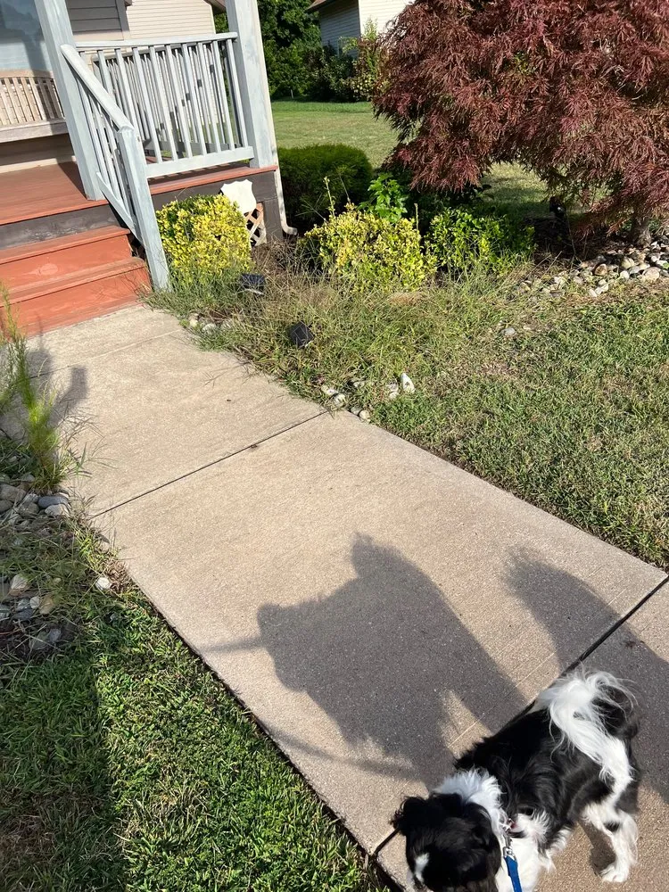 Affordable outdoor landscaping experts serving Dagsboro, DE - Titanium Property Services