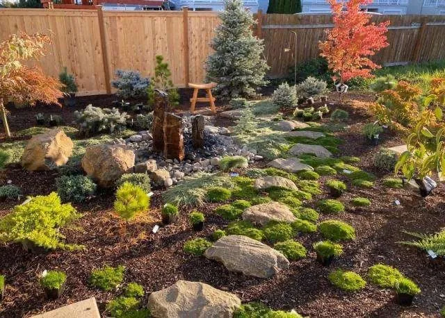 Affordable yard cleanup service experts serving Lisle, IL - Titanium Services