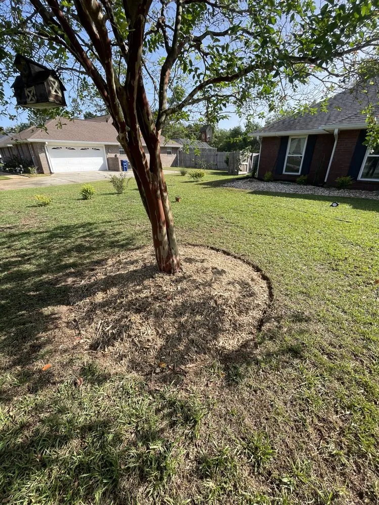 Custom lawn care service in Foley, AL - Titans Property Services