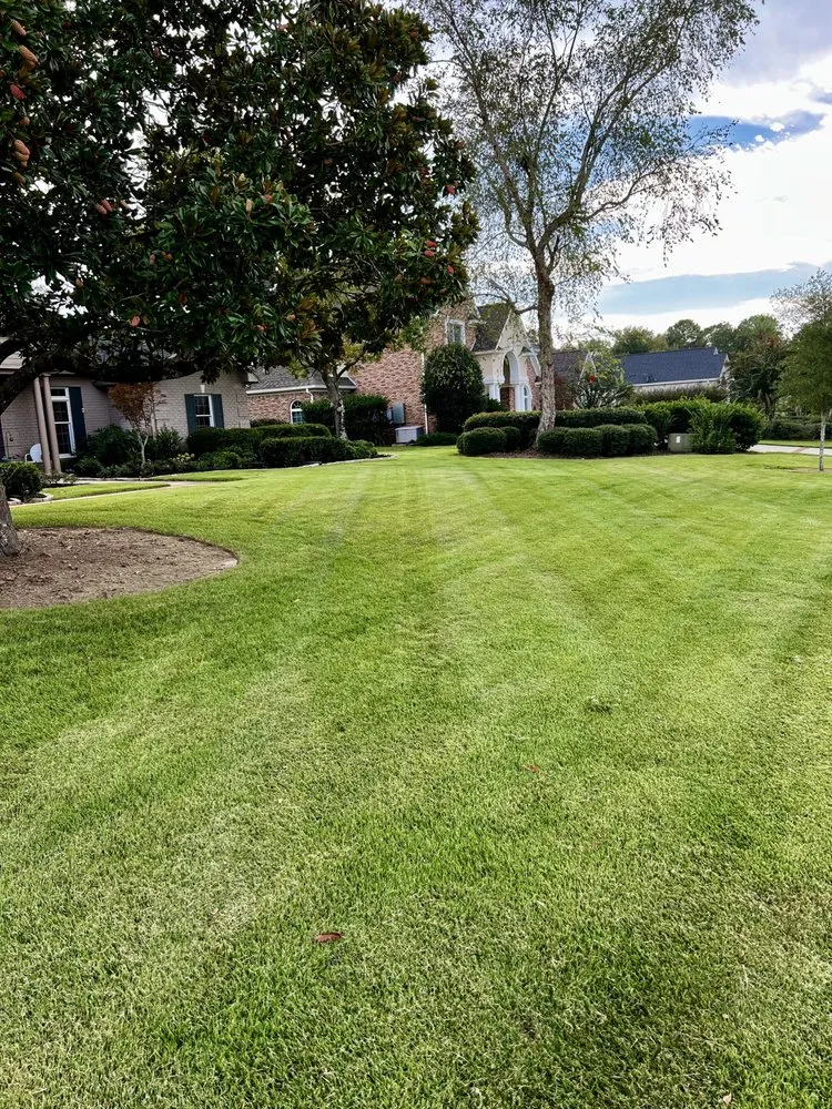 Local yard cleanup service experts serving Foley, AL - Titans Property Services