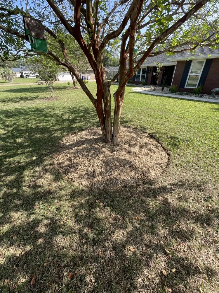 Expert lawn mowing service in Foley, AL - Titans Property Services