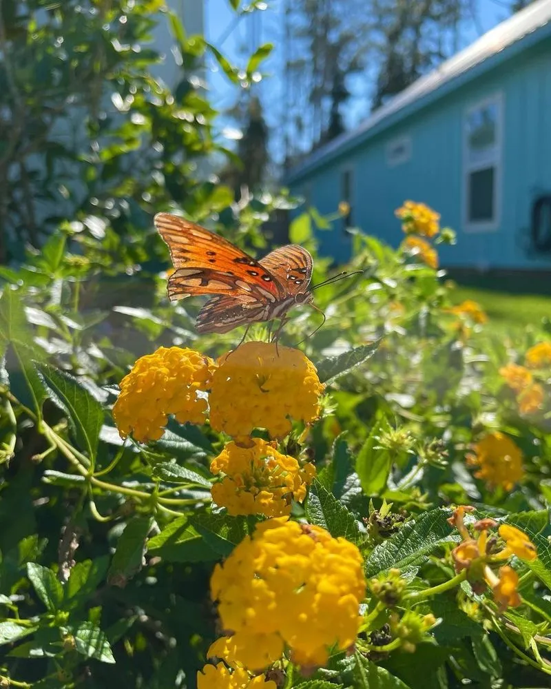 Affordable garden landscaping for outdoor upgrades across Foley, AL - Titans Property Services