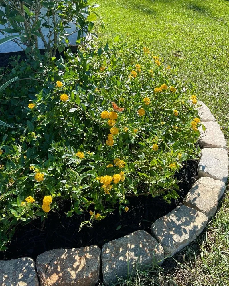 Reliable lawn care service experts serving Foley, AL - Titans Property Services