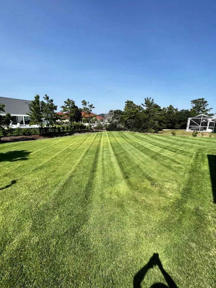 Professional landscaping services experts serving Foley, AL - Titans Property Services