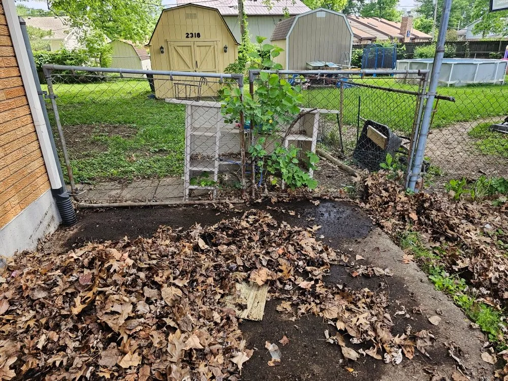 Affordable yard cleanup service in jeffersonville, IN by Tita's Handyman