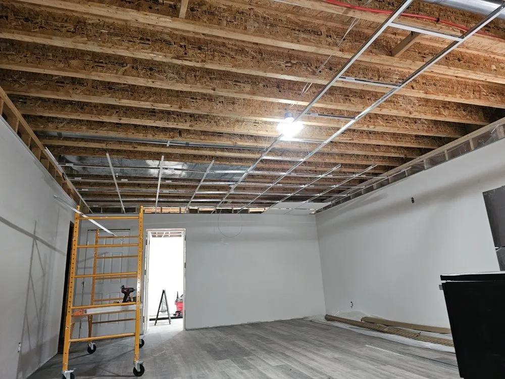 Professional yard cleanup service for year-round maintenance across jeffersonville, IN - Tita's Handyman