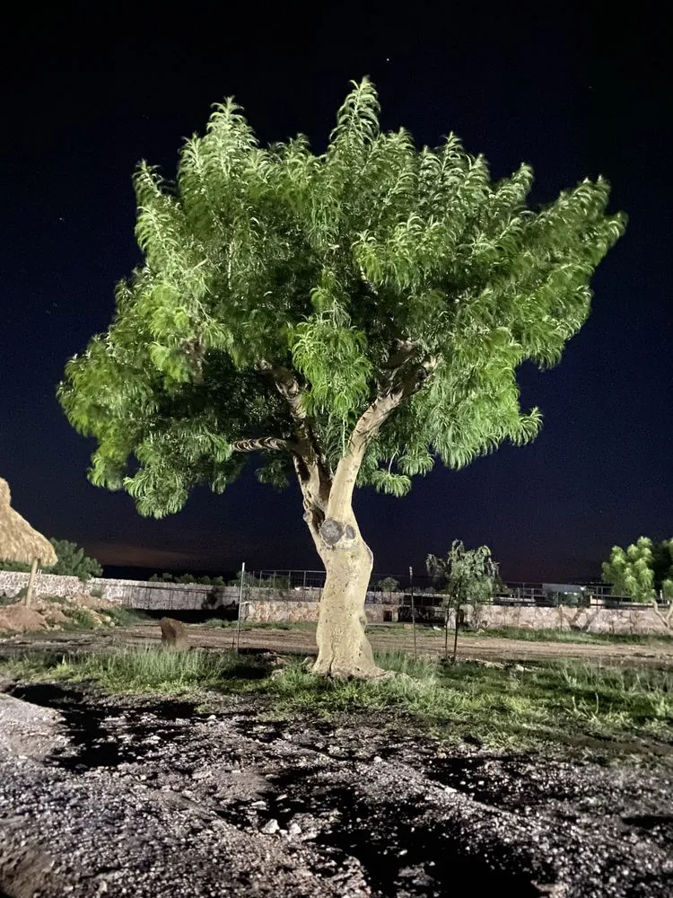 Top-rated landscape installation experts serving Wilmington, DE - Titinos Landscaping