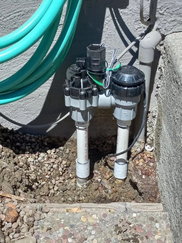 Reliable landscape installation experts serving Bay Point, CA - Tito Gardening