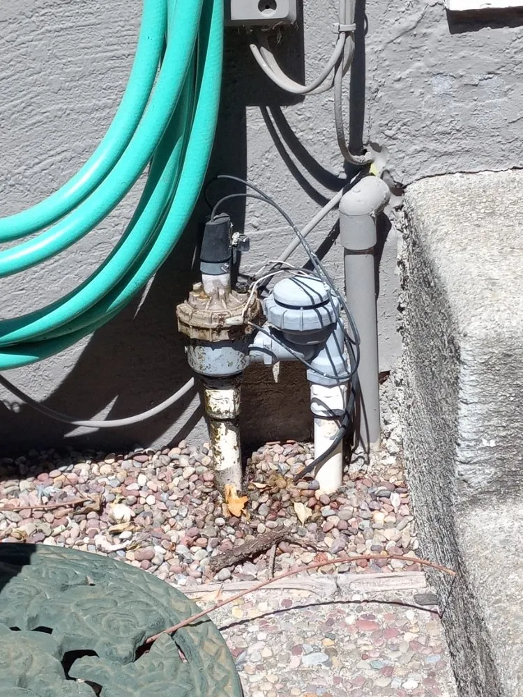 Local yard cleanup service near you in Bay Point, CA by Tito Gardening