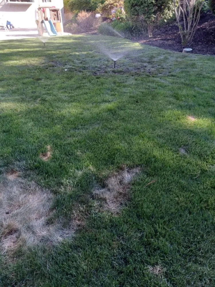 Local outdoor landscaping experts serving Bay Point, CA - Tito Gardening