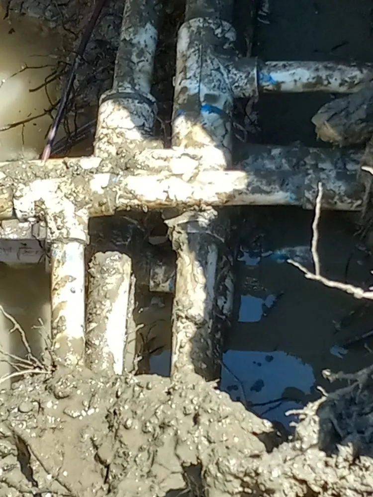 Trusted landscape design for homes across Bay Point, CA - Tito Gardening