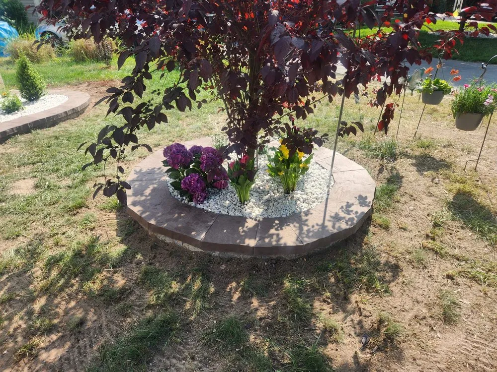 Expert landscaping services in Annapolis, MD by Tito Landscaping & Hardscaping