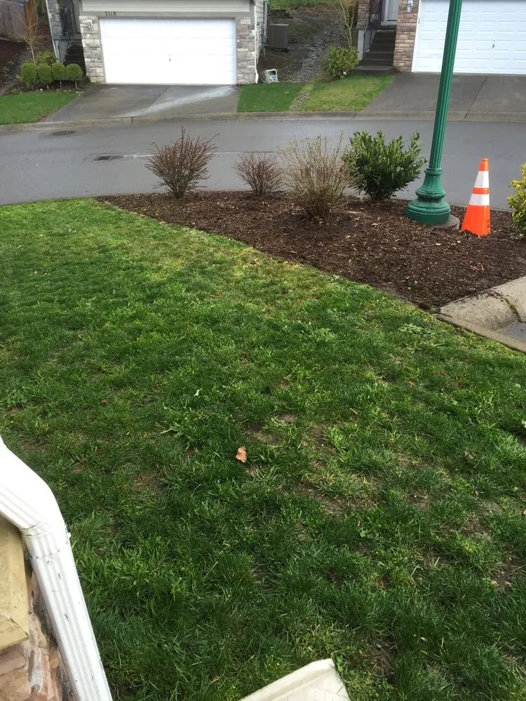 Affordable yard cleanup service in Covington, WA - Tito Yard Maintenance
