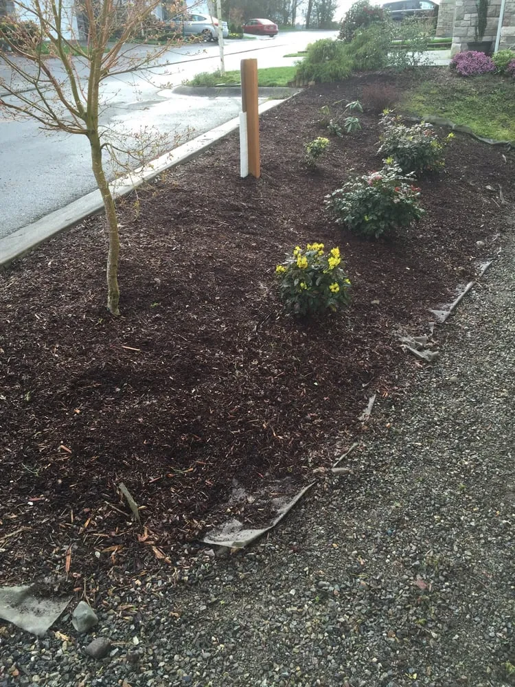 Local landscape installation in Covington, WA by Tito Yard Maintenance