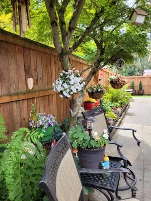 Tito Yard Maintenance