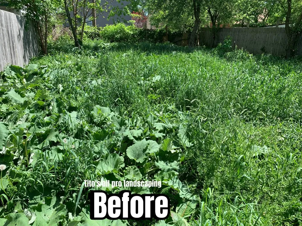 Trusted landscape installation for year-round maintenance in Cleveland, OH by Tito’s All Pro Landscaping