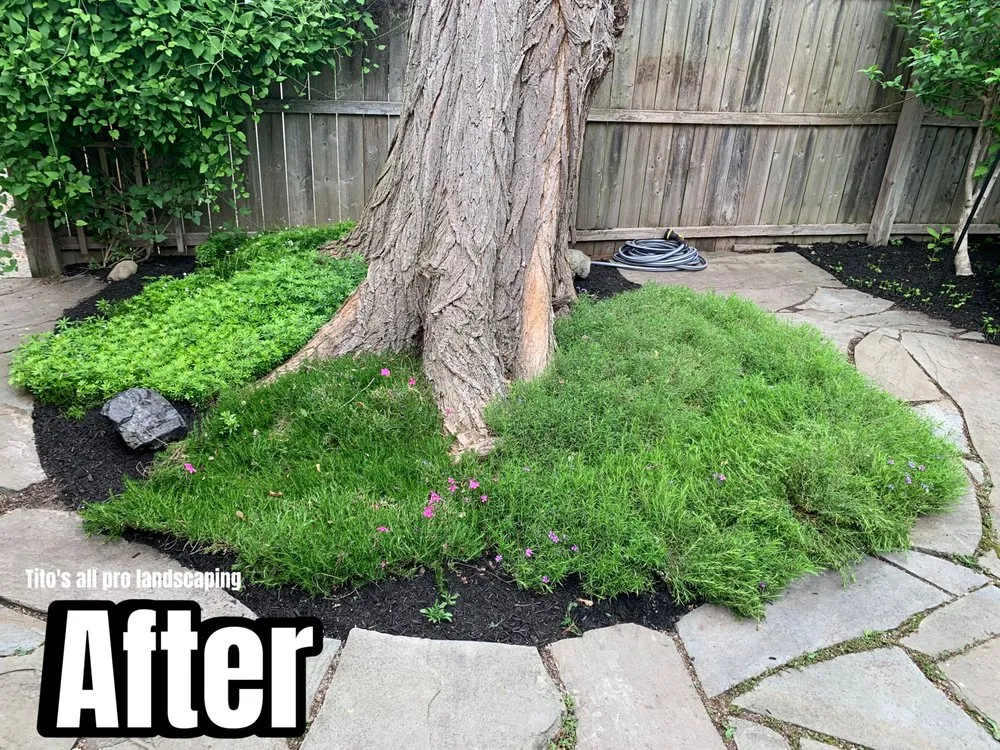 Trusted lawn care service in Cleveland, OH - Tito’s All Pro Landscaping