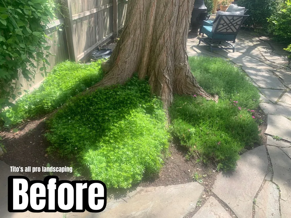 Reliable yard maintenance for year-round maintenance across Cleveland, OH - Tito’s All Pro Landscaping