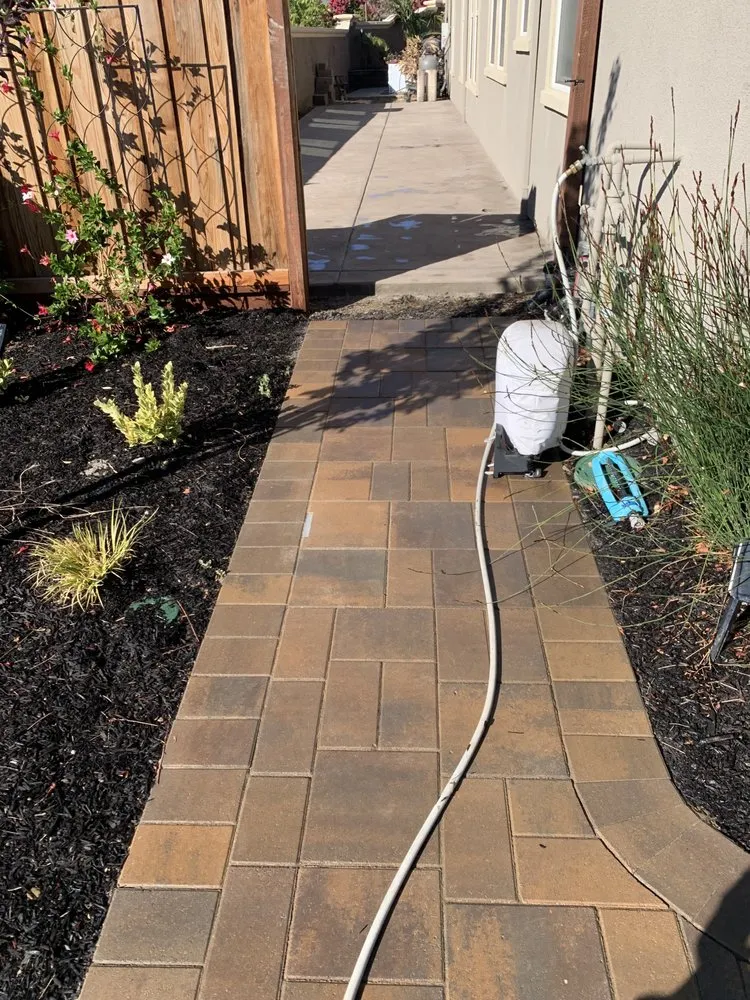 Professional yard maintenance in Brentwood, CA by Tito’s Concrete & Landscape