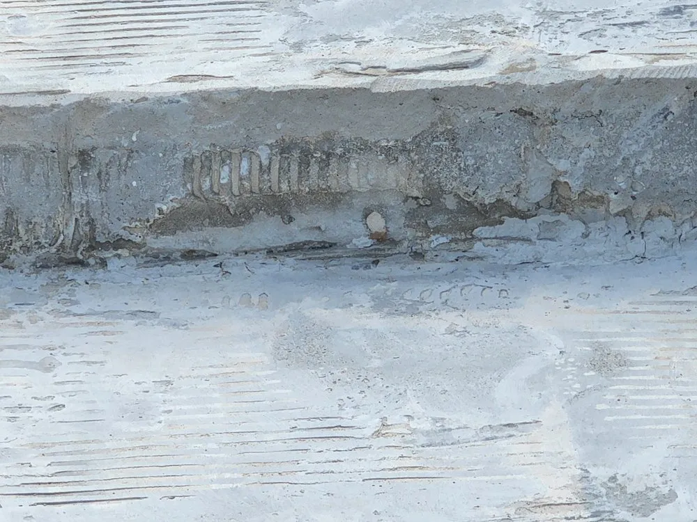 Professional landscape design experts serving Oxnard, CA - Titos Fencing Demolition and Hauling