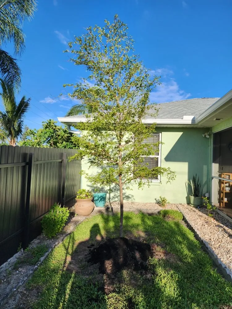 Local landscape design in Fort Myers, FL - Titos Landscaping Services